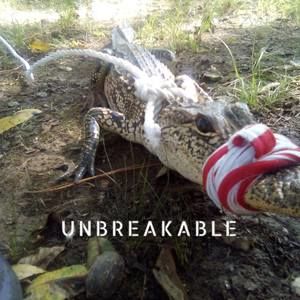 Meet your Posher, Elsie